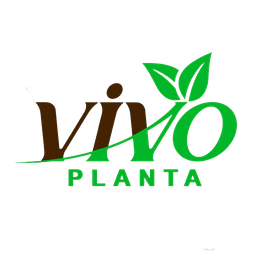 Vivo Planta Logo